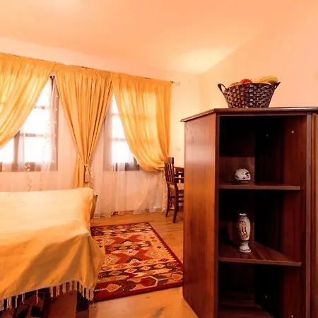 Apartment Downtown Ni
